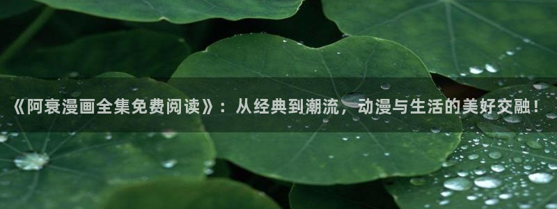 羞羞漫画,汗汗漫画歪歪漫画：《阿衰漫画全集免费阅读》：从经典到潮流，动漫与生活的美好交融！
