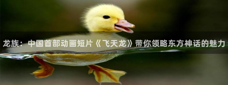 汗汗漫画在哪可以看：龙族：中国首部动画短片《飞天龙》带你领略东方神话的魅力