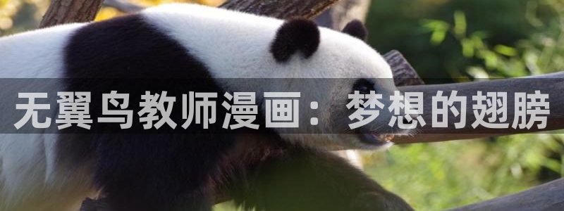 妖精漫画汗汗漫画：无翼鸟教师漫画：梦想的翅膀