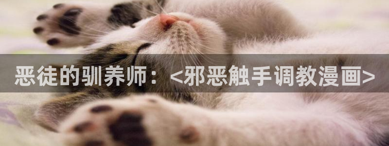 汗汗漫画日本的：恶徒的驯养师：<邪恶触手调教漫画>