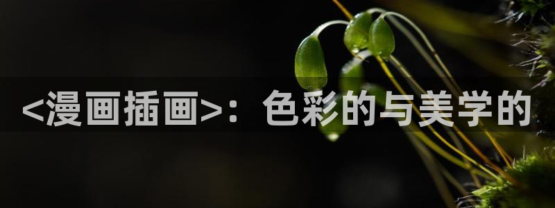 g汗汗漫画：<漫画插画>：色彩的与美学的